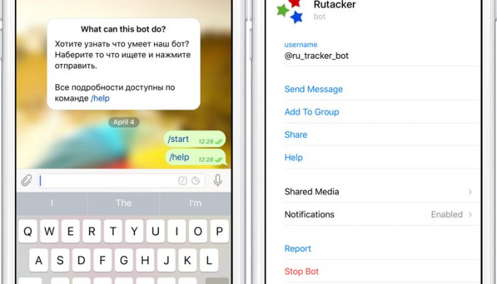  Rutracker официально запустил бот в Telegram