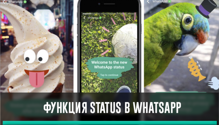 Функция Status в WhatsApp – аналог Историй в Инстаграм и ВКонтакте