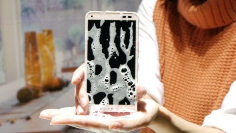 Мечта чистоплюя: какой смартфон можно мыть с мылом?