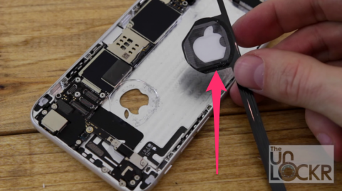 Как сделать светящееся яблоко в iPhone своими руками?