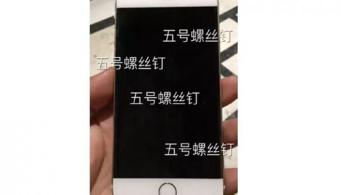 iPhone 7 с увеличенным дисплеем засветился на фото