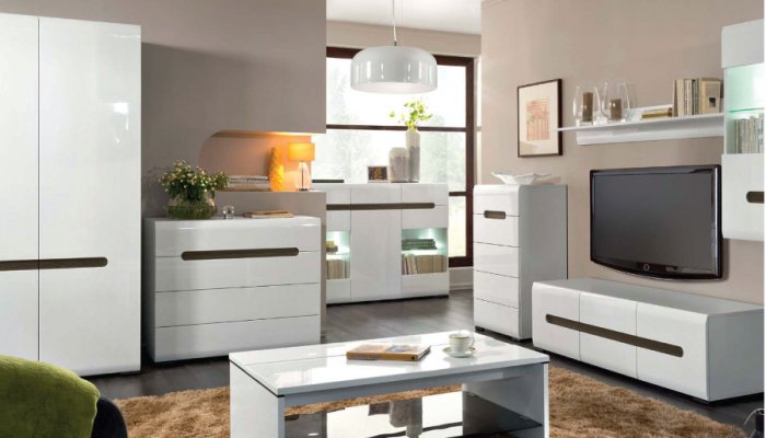 Секрет успеха модульной мебели – элитная мебель из Польши 